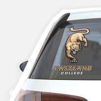 Car Decals & Car Stickers